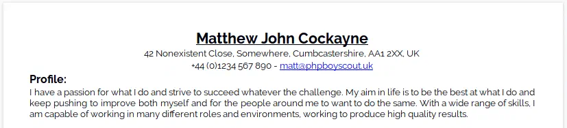 The old opening: my name, my contact details, and a warm but entirely unmeasurable “I have a passion for what I do” profile statement.
